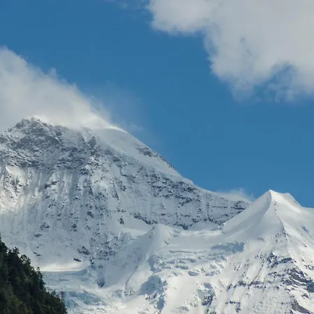 Apartment Oldswisshome