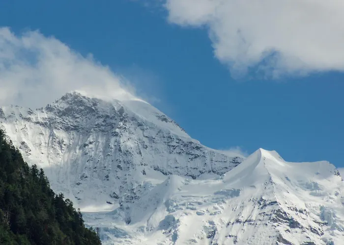 Apartment Oldswisshome