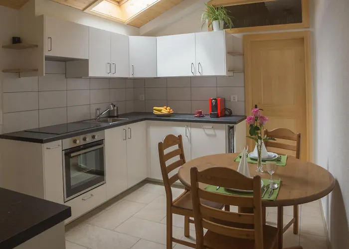 Oldswisshome Apartment