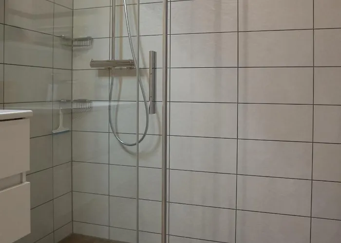 Oldswisshome Apartment