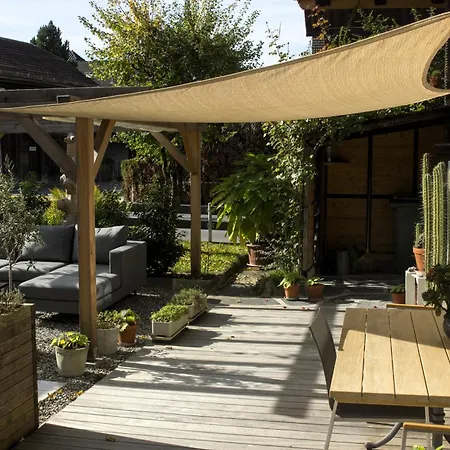 公寓 Oldswisshome Matten bei Interlaken