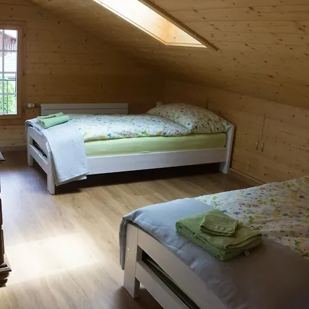 公寓 Oldswisshome Matten bei Interlaken